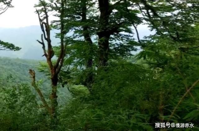 起底“黑婚介”：坑蒙拐骗拉会员，雇帅男美女当“婚托”，套路深